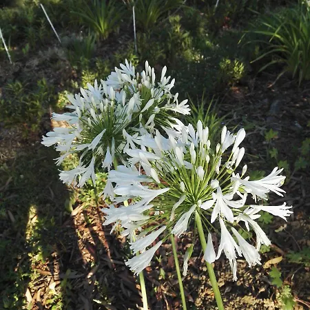 F.erme Renovee Au Milieu D'un Jardin Paysager *