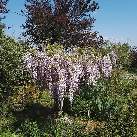 F.erme Renovee Au Milieu D'un Jardin Paysager Bastennes