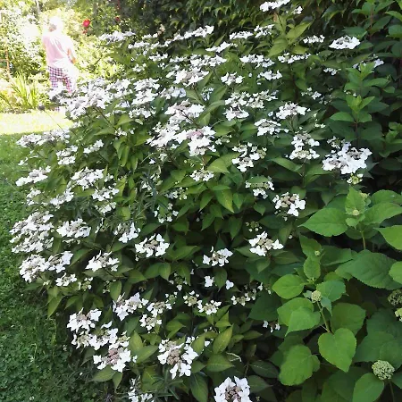 F.erme Renovee Au Milieu D'un Jardin Paysager